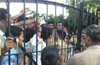 Gram Panchayat polls: Counting begins amid high security across DK, Udupi